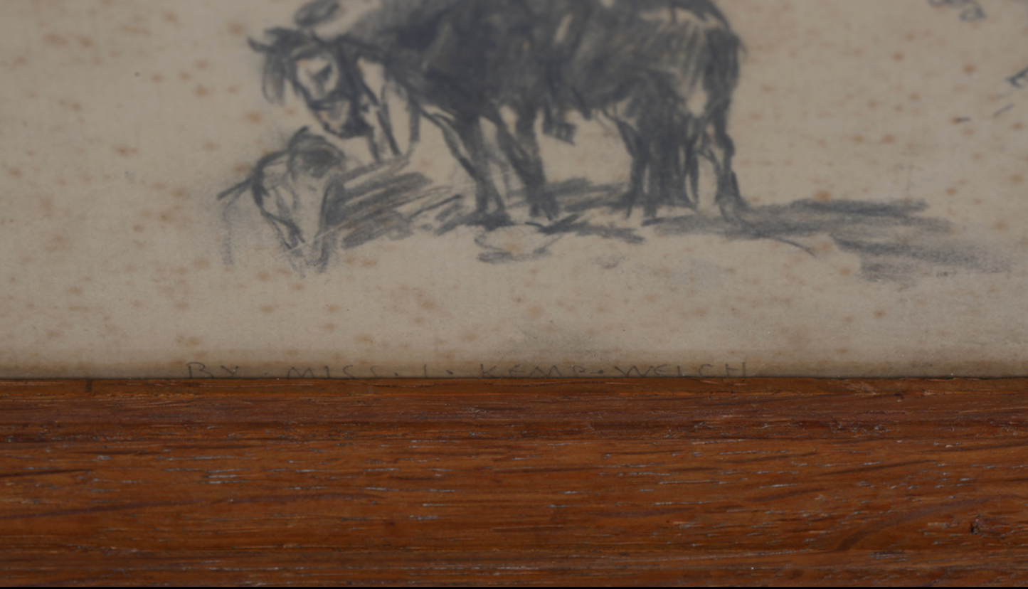 Attributed to Lucy Kemp-Welch - Study of a Horse