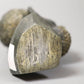 Zimbabwe soapstone head
