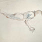 Henry Richard Bird - 4 drawings titled Sleeping Nude
