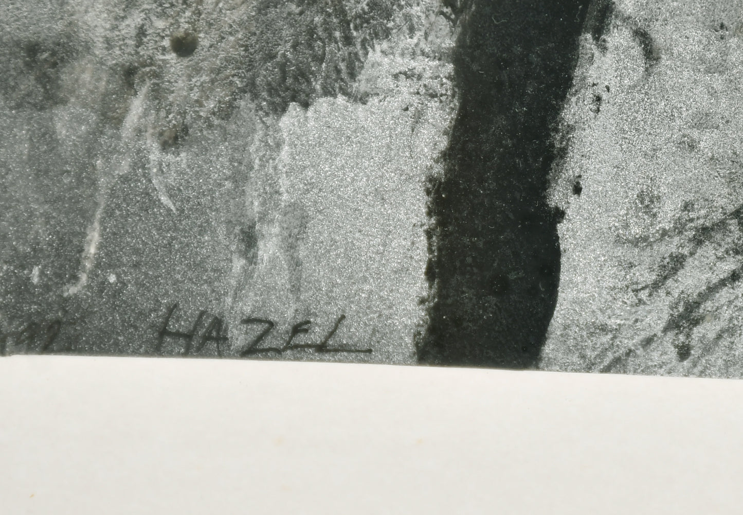 Philip Mead - Hazel